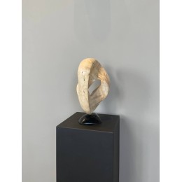 Эхо вселенной